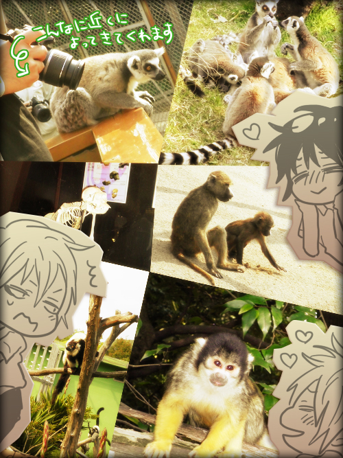 モンキーパーク