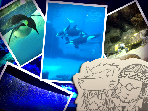 名古屋港水族館